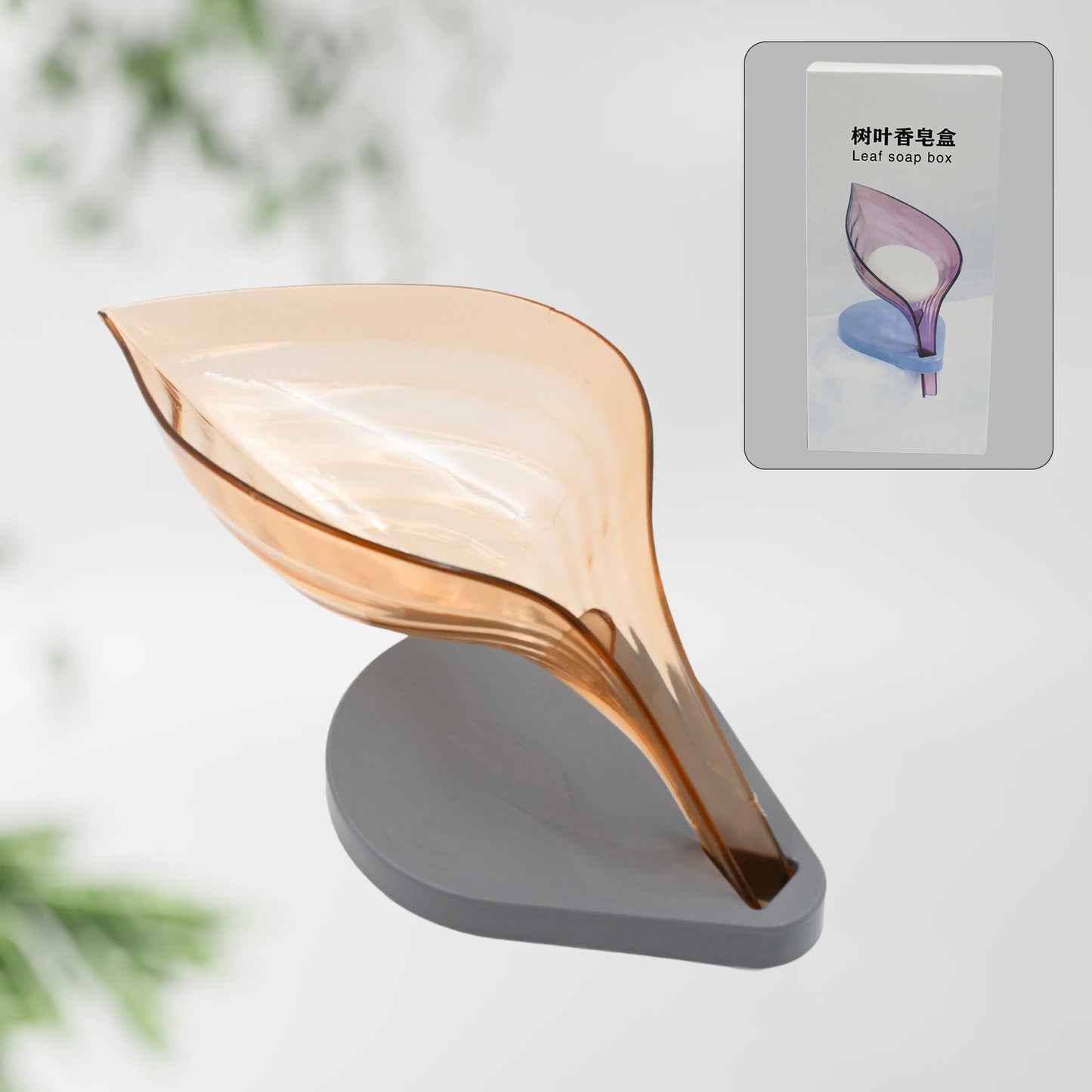 Plasticleaf Shape Soap Box Soap Holder (1 Pc With Color Box)