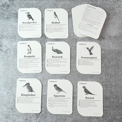 Kidkraft Early Learner Educational Flashcards  32 Birds