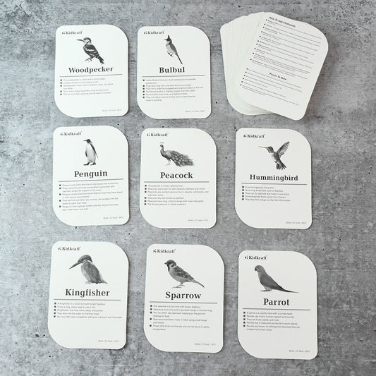 Kidkraft Early Learner Educational Flashcards  32 Birds