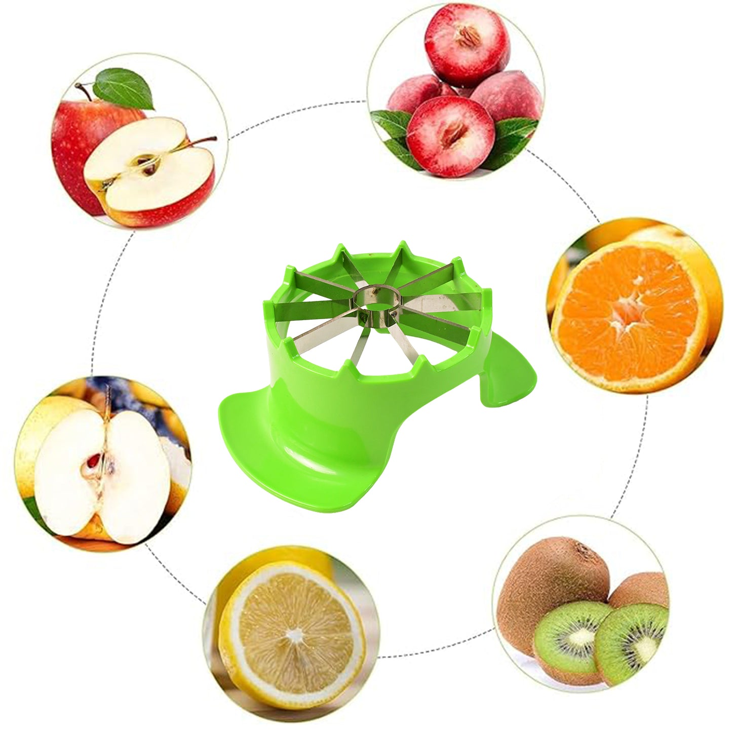 Apex Apple Cutter With Container  Unbreakable Abs Body  Stainless Steel Blades